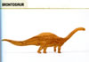 Brontosaurus (thunder lizard)